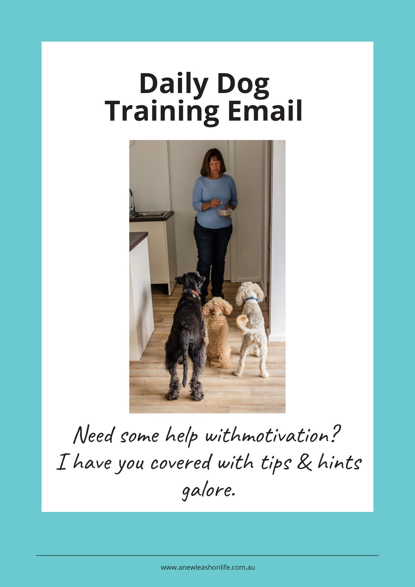 Daily Dog Training Email