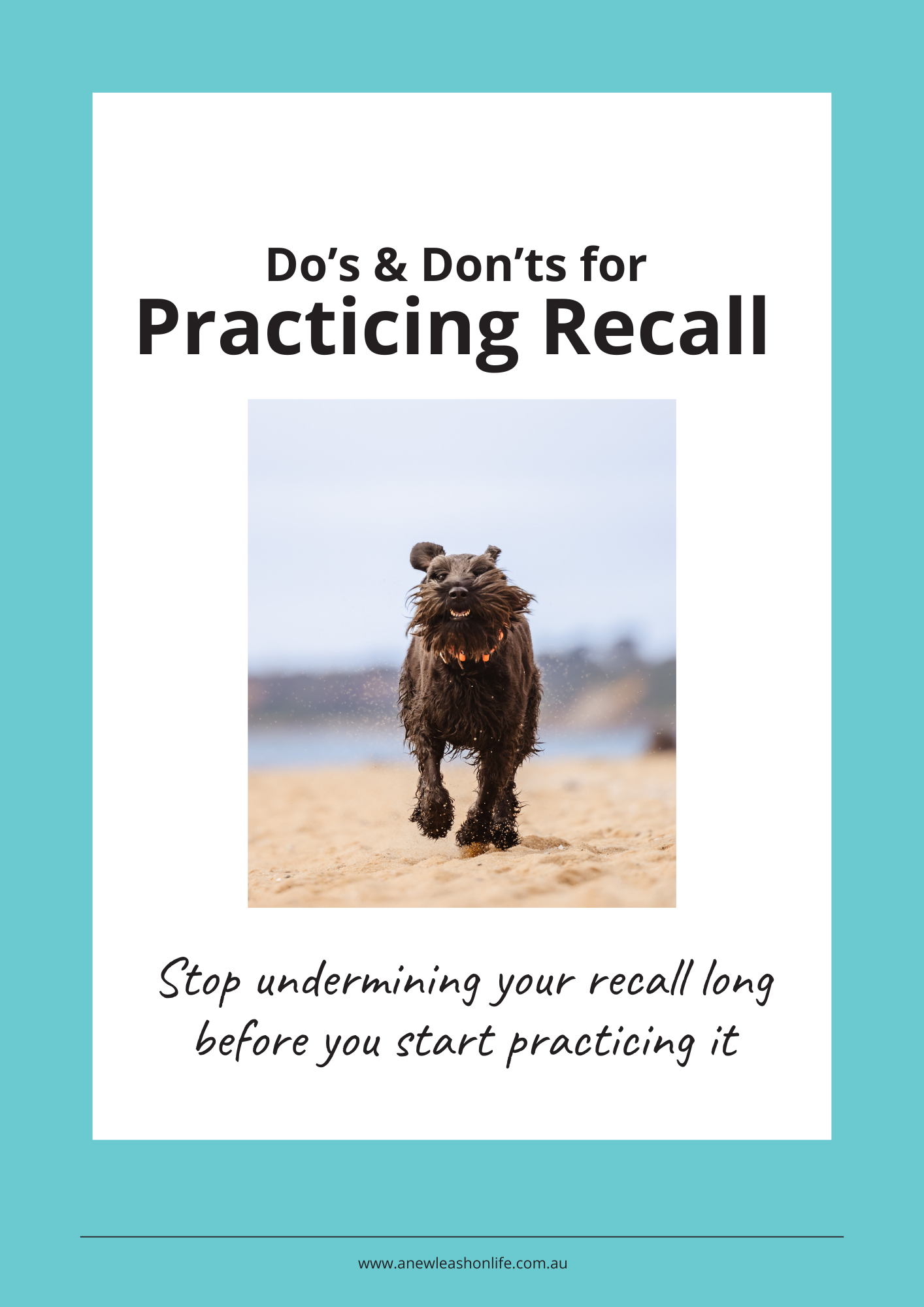 Do's and Don'ts for Recall Training