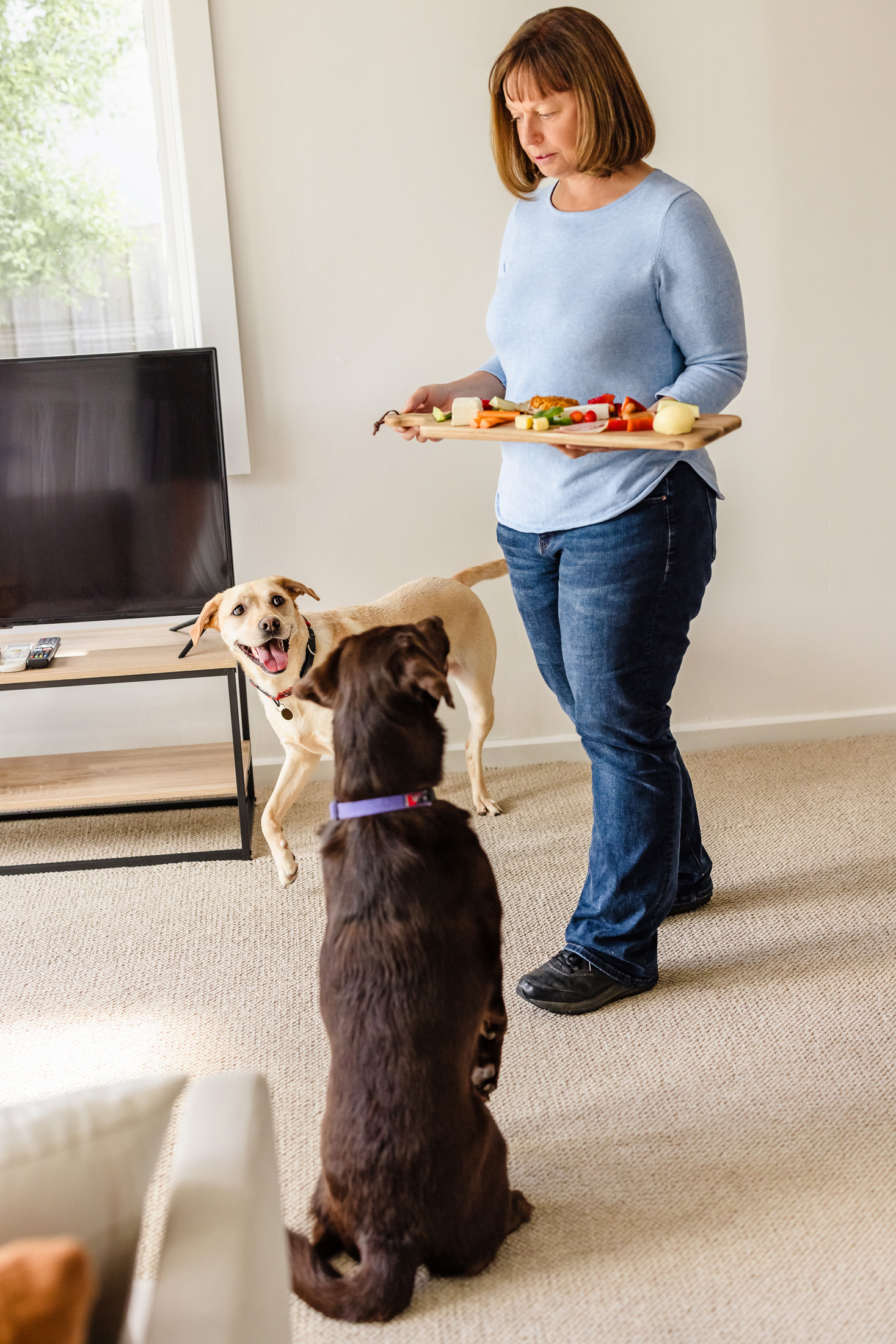 Trainer Keryn carries a food platter and two Labs wait calmly